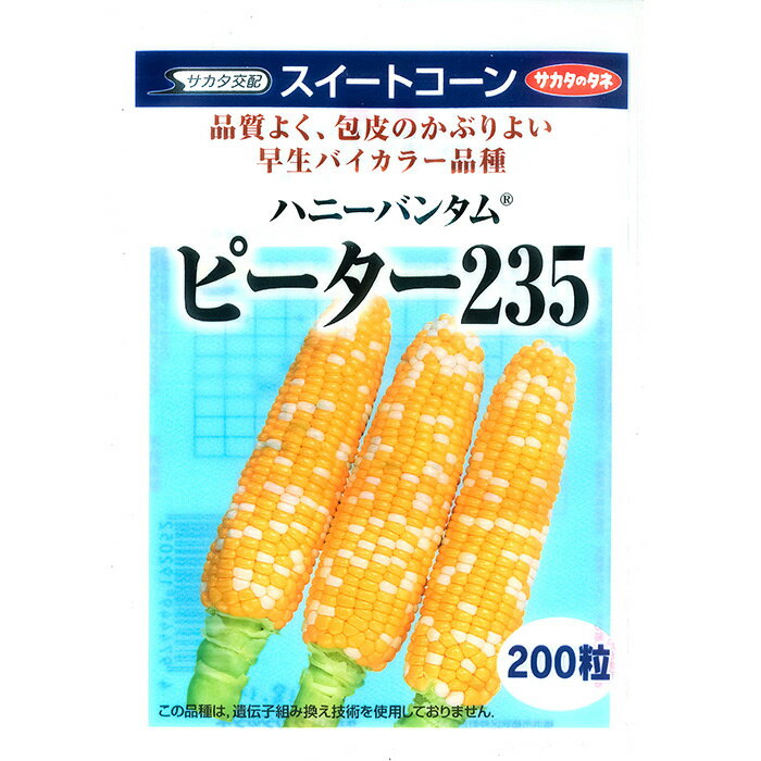  スイートコーン ハニーバンタム(R) ピーター235 野菜 種 約200粒 大袋 春まき サカタ交配 営利 栽培 収穫 園芸 玉蜀黍 すいーとこーん トウモロコシ 種子 タネ たね