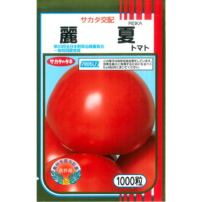 【サカタのタネ公式】 大玉トマト 麗夏 野菜 種 プライマックス約1000粒 大袋 春まき サカタ交配 簡単 育てやすい 美味しい 営利 栽培 収穫 園芸 とまと 種子 タネ たね