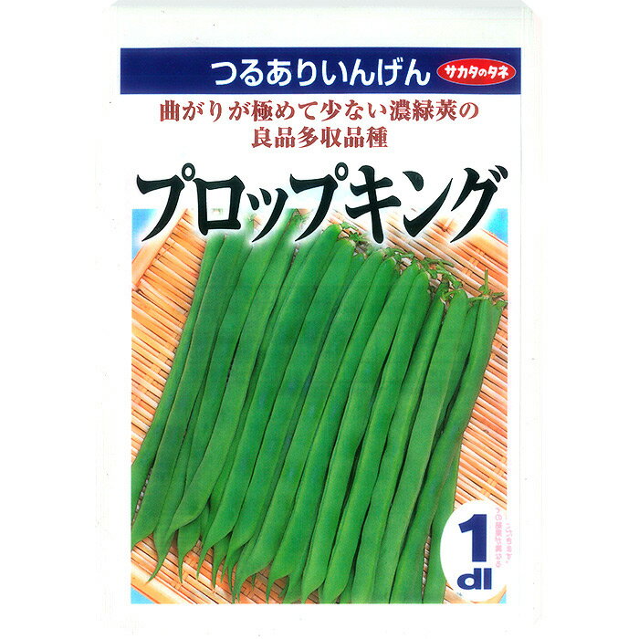 【サカタのタネ公式】 つるありインゲン プロップキング 野菜 種 100～200粒 大袋 春まき 秋まき 固定種 営利 栽培 収穫 園芸 いんげん つるあり 種子 タネ たね