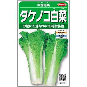 【サカタのタネ公式】 タケノコハクサイ 種 小袋 約1525粒 中国紹菜 野菜 秋まき 固定種 在来種 育てやすい 珍しい 美味しい 甘い 家庭菜園 栽培 収穫 たけのこ白菜 たけのこはくさい 種子 タネ たね