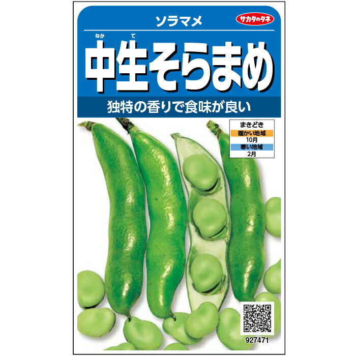 【サカタのタネ公式】 ソラマメ 中生そらまめ 野菜 種 約10粒 小袋秋まき固定種 鉢植え 地植え 美味しい 家庭菜園 栽培 収穫園芸 蚕豆 そらまめ そら豆 種子 タネ たね