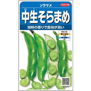 【サカタのタネ公式】 ソラマメ 中生そらまめ 野菜 種 約10粒 小袋秋まき固定種 鉢植え 地植え 美味しい 家庭菜園 栽培 収穫園芸 蚕豆 そらまめ そら豆 種子 タネ たね