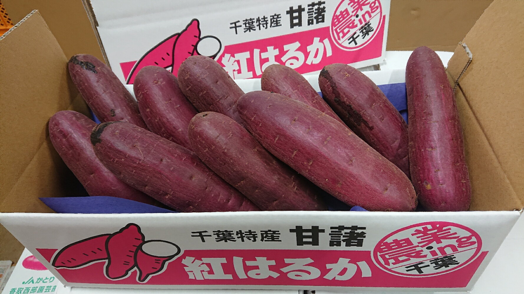 熟成べにはるか　　3キロ