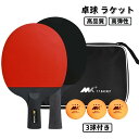 卓球 ラケット 初心者 両面 セット 子供 ラバー張り 練習用 卓球セット セット 2本 収納ケース付き 中級者 大人 シェーク カーボン ケース ペン 3球付...