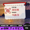 【ストレスなし】eSIM 大容量データ 高速通信 旅行・出張 短期滞在に最適 プリペイドeSIM 即納可能 格安モバイルデータ 30日間 1GB/日 フィリピン...