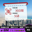 【ストレスなし】eSIM 大容量データ 高速通信 旅行・出張 短期滞在に最適 プリペイドeSIM 即納可能 格安モバイルデータ 30日間 合計30GB アラブ首...