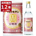 送料無料 宝焼酎 タカラモダン 25度 600ml×12本(1ケース) 甲類焼酎 焼酎 サワー レサワ 炭酸割り ホッピー チューハイ お茶割り 緑茶割り 【送料無料※一部地域は除く】