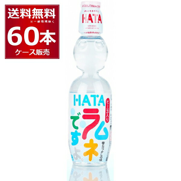 ハタ ラムネ ですよ ペット 250ml×60本(2ケース) ビー玉 入り プラスチック 容器 なるかしの味 炭酸 炭酸飲料 夏祭り ハタ鉱泉【送料無料※一部地域は除く】