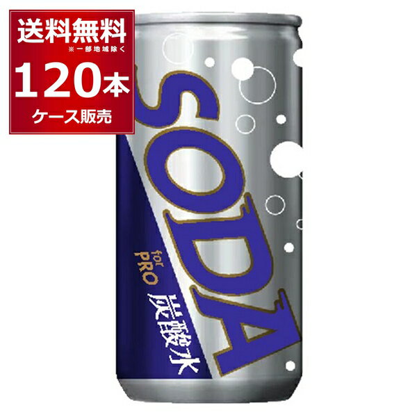 190ml缶 炭酸水 SODA for PRO 190ml×120本(4ケース) ソーダ 炭酸割り 強炭酸 業務用 ハイボール グラス1杯分 使い切りサイズ【送料無料※一部地域は除く】