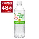 三ツ矢サイダー W 485ml×48本(2ケース)【送料無料※一部地域は除く】