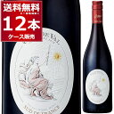 ドメーヌ ポール マスク ロード ヴァル 赤 750ml×12本(1ケース) ミディアムボディ ワイン フランス【送料無料※一部地域は除く】