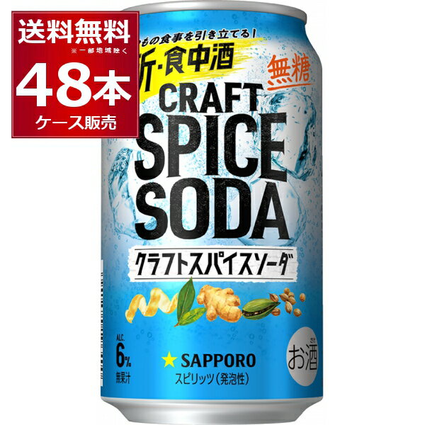 サッポロ クラフトスパイスソーダ 350ml×48本(2ケース)【送料無料※一部地域は除く】