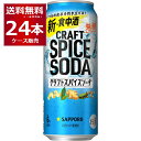 サッポロ クラフトスパイスソーダ 500ml×24本(1ケース)【送料無料※一部地域は除く】