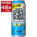 楽天酒やビック　楽天市場店サッポロ クラフトスパイスソーダ 500ml×48本（2ケース）【送料無料※一部地域は除く】