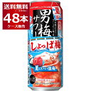 賞味期限 2024年5月 数量限定 サッポロ 男梅サワー 通のしょっぱ梅 500ml×48本(2ケース)【送料無料※一部地域は除く】