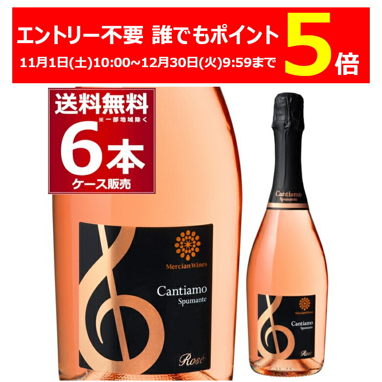 エントリー不要 誰でもP5倍 12/30 9:59まで メルシャン ワインズ カンティアーモ スプマンテ ロゼ 750m..
