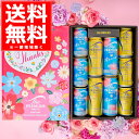 遅れてごめんね 母の日サントリー ザ プレミアム モルツ 2種 セット 350ml 500ml 10本(1セット) BPDSEN ギフト プレモル 贈り物 贈答...