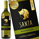 サンタ バイ サンタ カロリーナ ソーヴィニヨン ブラン 750ml ワイン