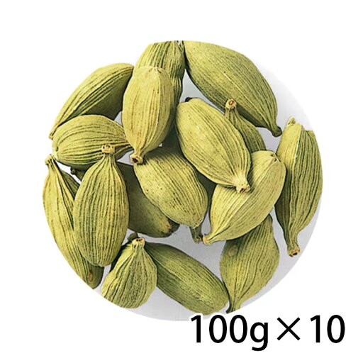 S&B エスビー セレクト カルダモン ホール 袋 100g 10個入り 1ケース 調味料 食品 送料無料 北海道 沖縄は送料1000円加算 クール便は800円加算 S&B エスビー セレクト カルダモン ホール 袋 100g 10個入り 1ケース 調味料 食品 送料無料 北海道 沖縄は送料1000円加算 クール便は800円加算