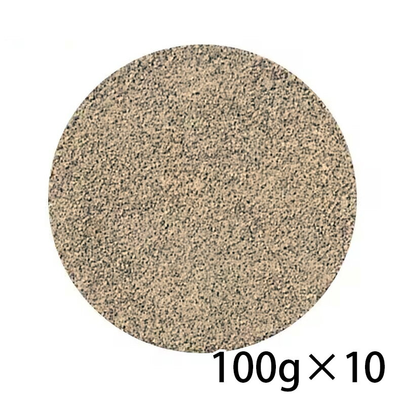 S&B エスビー セレクト ブラックペッパー パウダー 袋 100g 10個入り 1ケース 調味料 食品 送料無料 北海道 沖縄は送料1000円加算 クール便は800円加算