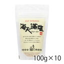 海人の藻塩 100g スタンドパック 袋 10個入り 1ケース 調味料 塩 食品 送料無料 北海道 沖縄は送料1000円加算 クール便は800円加算