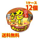 ニュータッチ 懐かしの カレーうどん 12個 1ケース うどん カップ麺 送料無料 北海道 沖縄は送料1000円 代引不可 同梱不可 日時指定不可