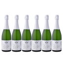 南部美人 あわさけ スパークリング 720ml 1ケース 6本入り まとめ買い ケース買い 日本酒 清酒 送料無料 北海道 沖縄は送料1000円加算 クール便は...