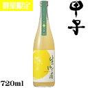 甲子 生ゆず酒720ml【千葉県 飯沼本家】【クール便発送】【数量限定】
