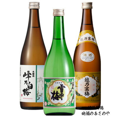 GB【飲み比べセット】720ml×3本 日本