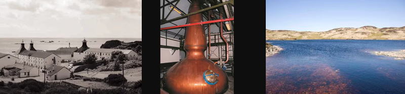 アードベッグ 10年 TEN 10年 46度 ...の紹介画像3