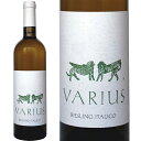 @EX [XOEC^A 2011N Varius Riesling Italian 2011 i750 mlj[}jACAt[eB[ȔCELOAaɑ낤ĊMtg v[gɁEĂ⋛ƈꏏɔC􏗎qArSp[eB[