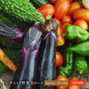 オーガニック野菜【青森県産】ミネラルボックスBコース 1