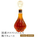 国産クラフトジン入り梅リキュール 750ml オリジナルボトル 和歌山県 国産梅古酒 辛口 フルーティー ロックがうまい 南高梅 記念日祝 誕生日祝 かわいい ...