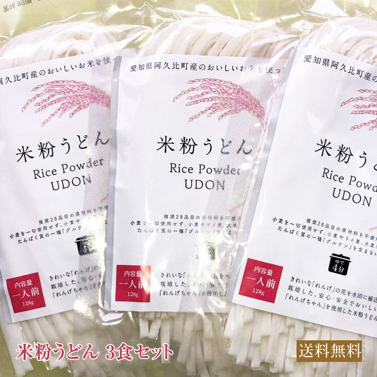 送料無料 米粉うどん 3食セット 米粉 麺 国産 小麦卵アレルギー アトピー 食塩不使用 グルテンフリー コシヒカリ