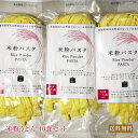 愛知県れんげちゃん米使用 送料無料 米粉パスタ 10食セット 米粉 麺 国産 小麦卵アレルギー アトピー 食塩不使用 グルテンフリー コシヒカリ