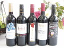 ワインセット 赤ワイン ( スペインワイン 4本 フランスワイン 4本 イタリアワイン 4本 チリワイン 8本)計750ml×20本