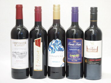 ワインセット 赤ワイン 5本( スペインワイン 1本 フランスワイン 1本 イタリアワイン 1本 チリワイン 2本)計750ml×5本