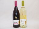 チリ産ワインアルパカ2本セット(赤ピノ・ノワール(ミディアムボディ) 白ソーヴィニヨン・ブラン(辛口)) 750ml×2本