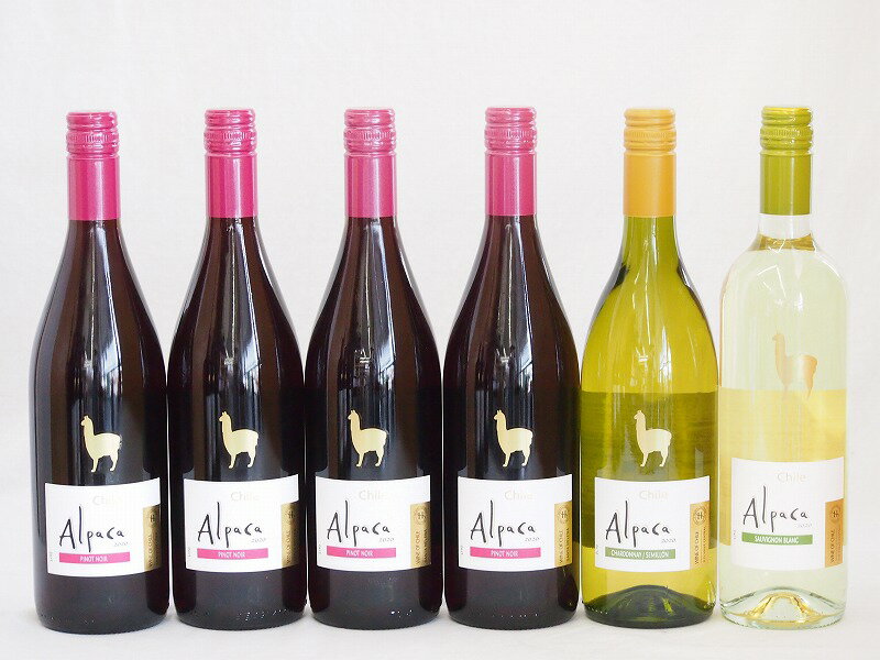 チリ産ワインアルパカ6本セット(赤ピノ・ノワール(ミディアムボディ) 白シャルドネ・セミヨン(辛口) 白..