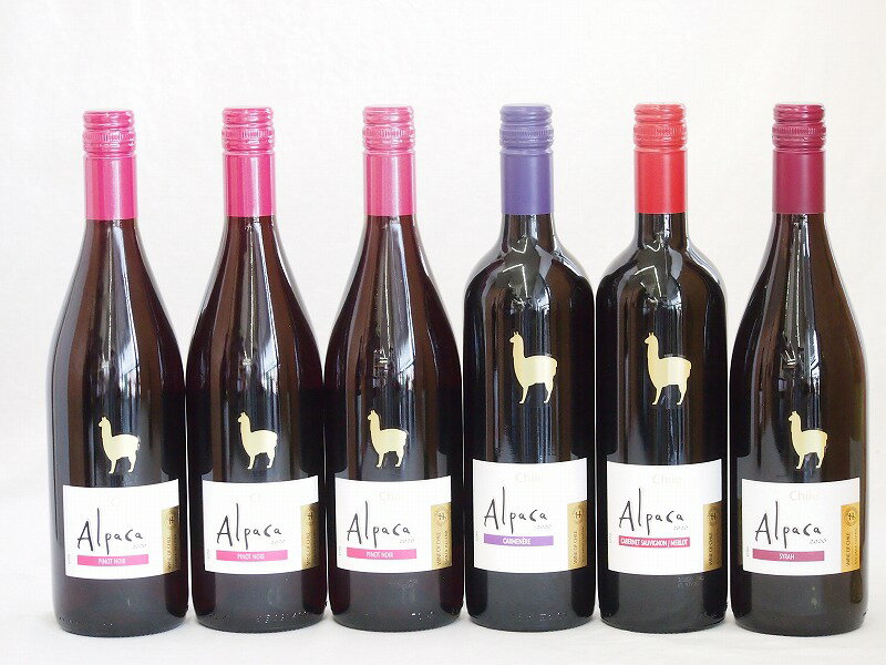 チリ産ワインアルパカ6本セット(赤ピノ・ノワール(ミディアムボディ) 赤シラー(フルボディ) 赤カルメネール(フルボディ) 赤カベルネ・メルロー(ミディアムボディ)) 750ml×6本チリ産ワインアルパカ6本セット(赤ピノ・ノワール(ミディ...