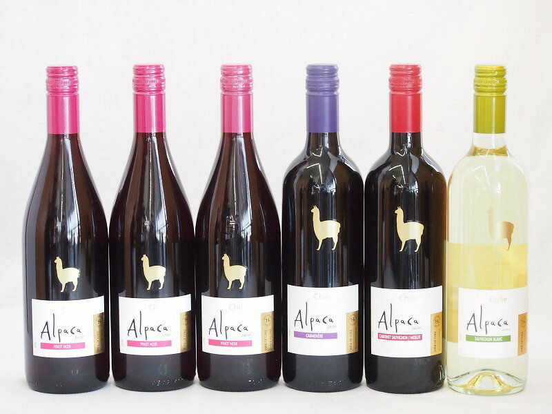 チリ産ワインアルパカ6本セット(赤ピノ・ノワール(ミディアムボディ) 赤カルメネール(フルボディ) 赤カ..