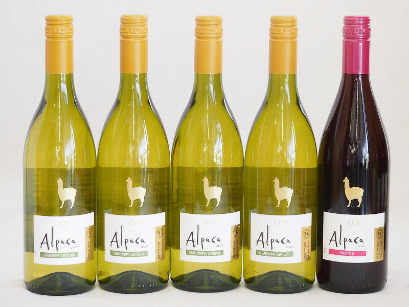 チリ産ワインアルパカ5本セット(赤ピノ・ノワール(ミディアムボディ) 白シャルドネ・セミヨン(辛口)) 7..