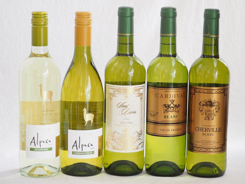 チリ産アルパカとフランス白ワイン5本セット(白シャルドネ・セミヨン 白ソーヴィニヨン・ブラン 白サンディヴァン ブラン 白カルディヴァル ビアンコ 白シャルヴィーユ ブラン) 750ml×5本