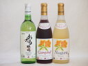 【最大2000円オフクーポン26日1:59迄】おたるスペシャル3本セット(北海道完熟ナイアガラ白ワイン甘口 おたる醸造ナイアガラ生葡萄酒 やや甘口 北海道プレミアムキャンベル赤甘口) 720ml×3本(4)
