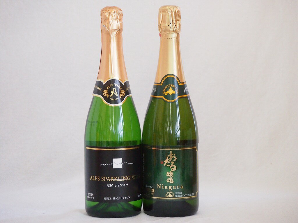 スパークリングワイン飲み比べ2本セット(ナイアガラスパークリング白ワインやや甘口 塩尻ナイアガラスパークリング白ワインやや甘口) 720ml×2本