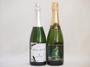 スパークリングワイン飲み比べ2本セット(ナイアガラスパークリング白ワインやや甘口 辛口スパークリング白ワイン ミュゼドゥヴァン3 ブラッククイーン) 720ml...