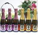 【6本セット】薩摩スパークリング6本セット(ゆずとん3本、梅太夫3本)375ml×6本