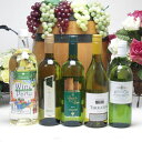パーティー5本セット 高品質5ヵ国白ワインセット(イタリア フランス チリ スペイン 750ml 日本1500ml)飲み比べ5本セット