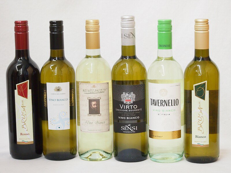 高品質イタリアワイン（赤1本、白5本）750ml×6本