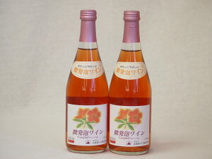 おたる微発泡キャンベルロゼワイン(北海道)500ml×2本